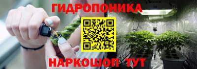 гидра Пыть-Ях