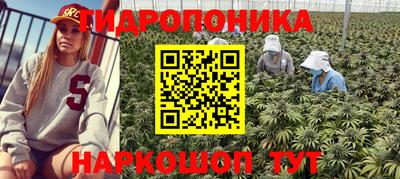 гидра Пыть-Ях